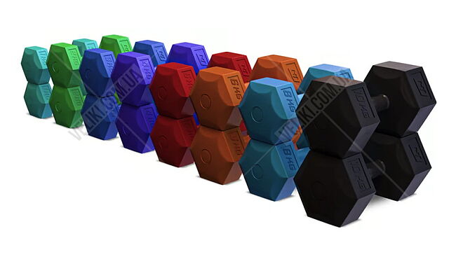 Гантелі Hop-Sport HS-C010DS 2х1 кг - дополнительное фото 2