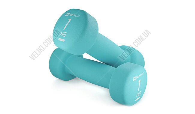 Гантелі Hop-Sport HS-V010DR 2x1 кг - дополнительное фото 1