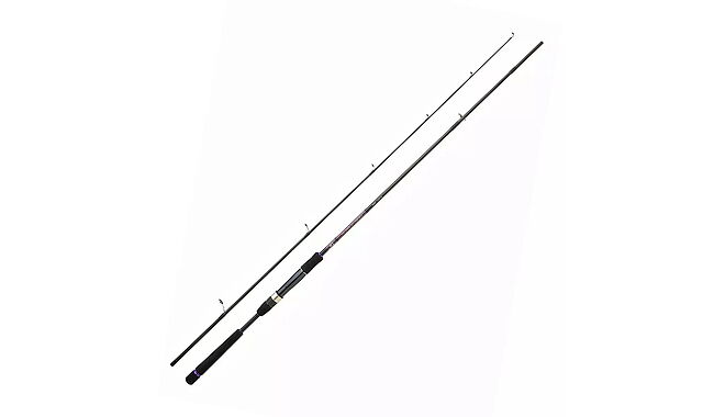 Спиннинг Daiwa Crosscast Seabass 14-42 г 2,90 м - фото 1