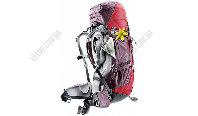 Рюкзак Deuter Aircontact 60+10 л - дополнительное фото 3