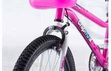 Велосипед RoyalBaby Chipmunk MK 14", OFFICIAL UA - дополнительное фото 17