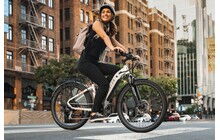 Электровелосипед Aventon Level.2 Step-Through - дополнительное фото 16