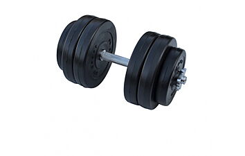 Гантель RN-Sport HR-026 26 кг