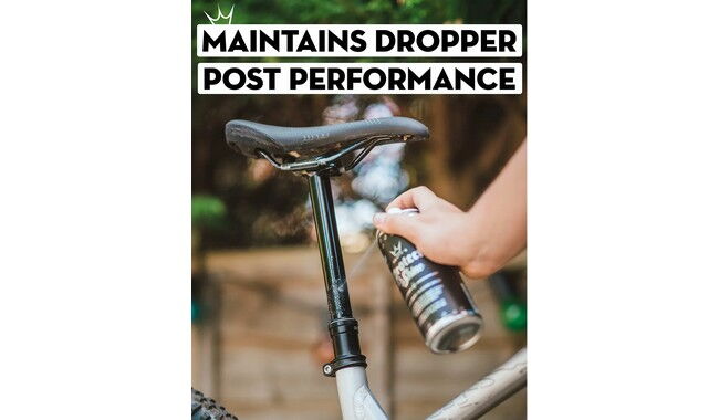 Спрей для захисту та блиску Peaty's Protect & Shine 400 мл - дополнительное фото 4