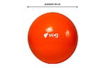 Мяч для фитнеса WCG 55 Anti-Burst 55 см + насос - дополнительное фото 2