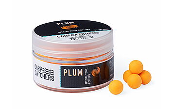 Бойлы Carp Catchers Special Tone 10 мм