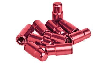 Ковпачки для камер Prox FV-01 10 шт.