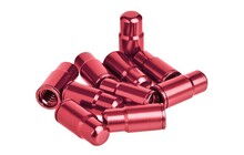 Колпачки для камеры ProX FV-01 10 шт. - фото 1