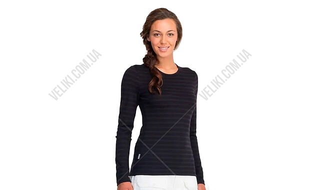 Термофутболка Icebreaker BF 260 Tech Top LS Crewe - дополнительное фото 1