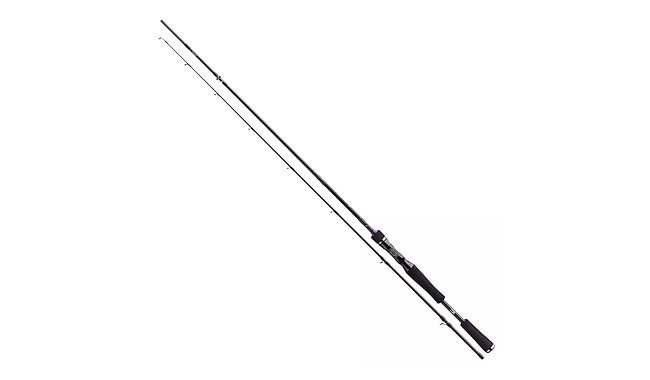 Спиннинг Daiwa Prorex XR BC 40-120 г 2,40 м - фото 1