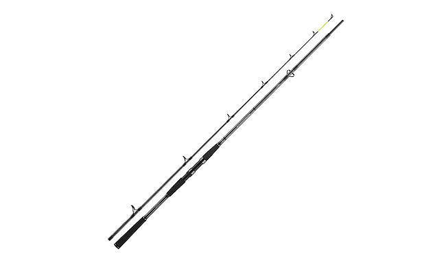 Спиннинг Daiwa Seahunter X 30-60 г 2,70 м - фото 1