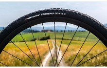 Покрышка Vittoria Terreno Dry 700x35C Fold - дополнительное фото 4