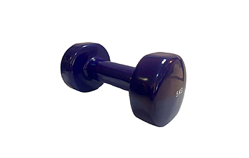 Гантель Stein DB3012 5 кг