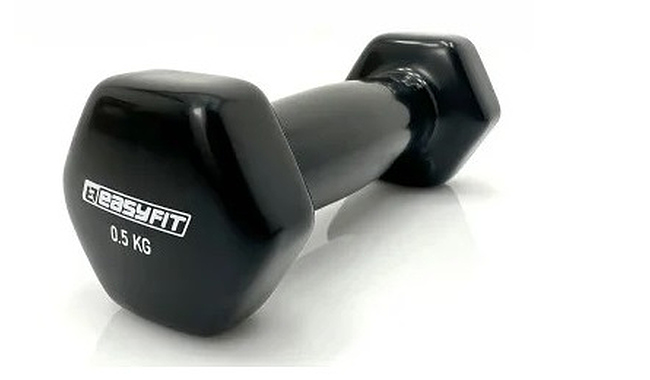 Гантель EasyFit EF-0005 0,5 кг - фото 1