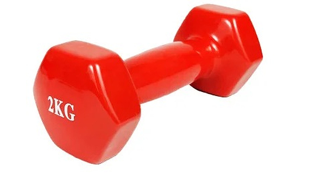 Гантель EasyFit EF-0020 2 кг - фото 1