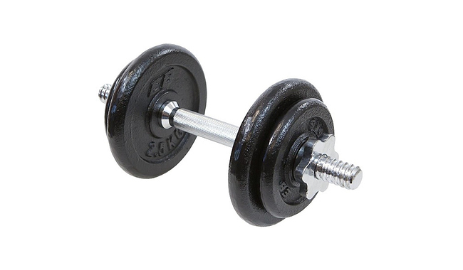 Гантеля Enero Fit 10 кг с чемоданом - фото 1