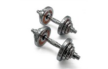 Гантелі Newt Home Chrom 2х10 кг - фото 1