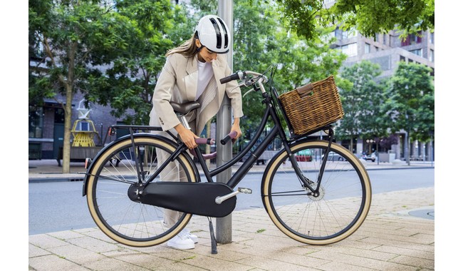 Велозамок ABUS Goose Lock 6206K/110 - дополнительное фото 5