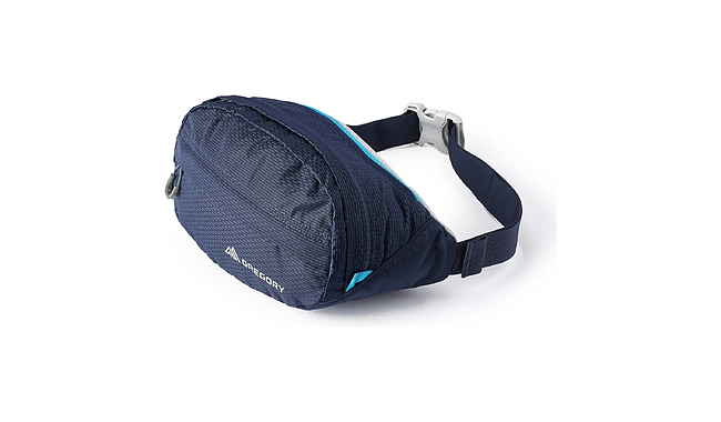 Сумка на пояс Gregory Nano Waistpack 3,5 л - фото 1