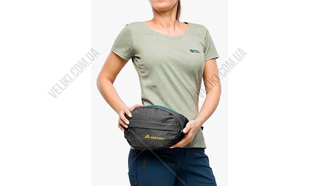 Сумка на пояс Gregory Nano Waistpack 3,5 л - дополнительное фото 2