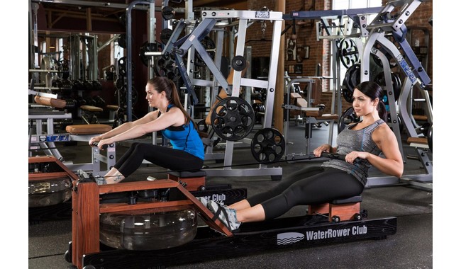 Веслувальний тренажер WaterRower Club S4 Ash - дополнительное фото 17