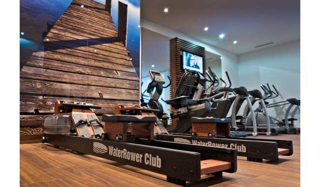 Веслувальний тренажер WaterRower Club S4 Ash - дополнительное фото 19