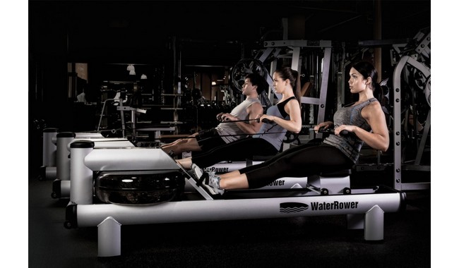 Веслувальний тренажер WaterRower M1 HiRise S4 Aluminum - дополнительное фото 15