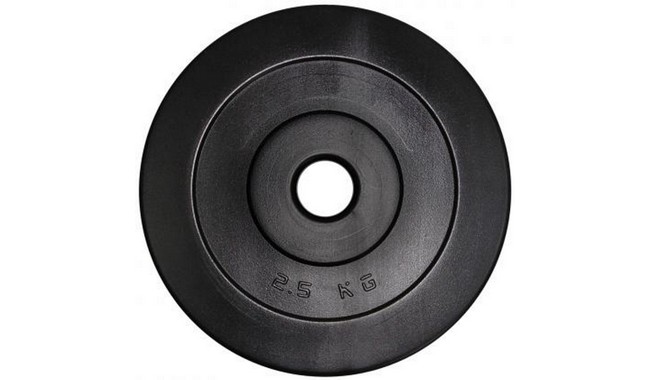 Диск Newt Rock Pro 2,5 кг - фото 1