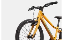Велосипед Cannondale Kids Quick 20 - дополнительное фото 4
