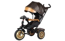 Велосипед-коляска Best Trike Perfetto - фото 2