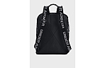 Рюкзак Under Armour Loudon 10 л - дополнительное фото 1