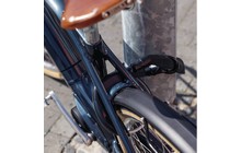 Цепь-петля ABUS ACH IVY 6KS/100 - дополнительное фото 2