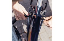 Цепь-петля ABUS ACH IVY 6KS/100 - дополнительное фото 3