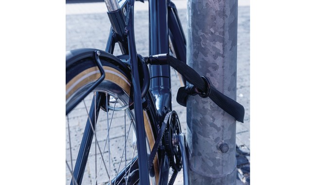 Цепь-петля ABUS ACH IVY 6KS/130 - дополнительное фото 1