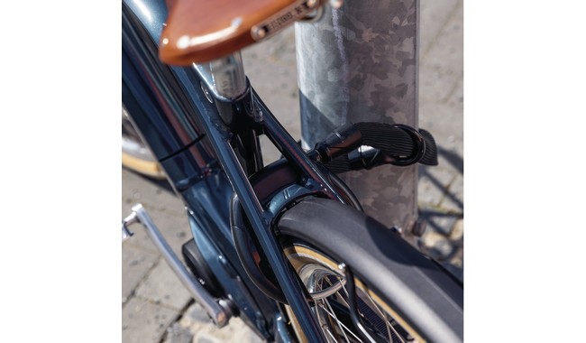 Ланцюг-петля ABUS ACH IVY 8KS/100 - дополнительное фото 2