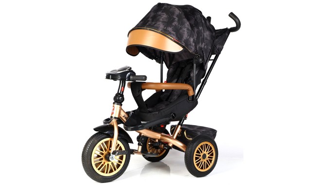 Велосипед-коляска Best Trike Perfetto - фото 1