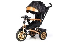 Велосипед-коляска Best Trike Perfetto - фото 1