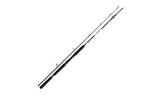Спиннинг Daiwa BG Offshore Boat 150-400 г 2,10 м - фото 1