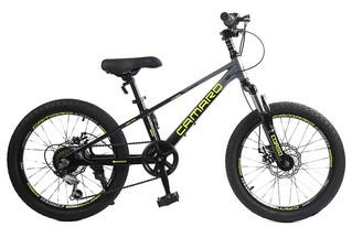 Велосипед Corso Camaro