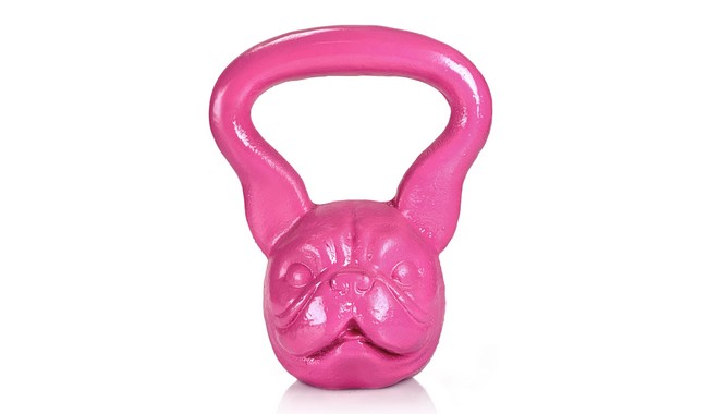 Гиря Body Of Steel Mini Dog 8 кг - фото 2