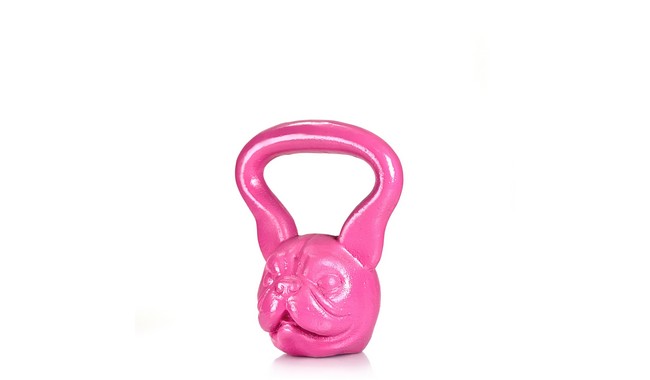 Гиря Body Of Steel Mini Dog 8 кг - дополнительное фото 1