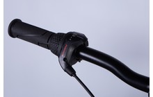 Велосипед Dorozhnik Onyx PH - дополнительное фото 6