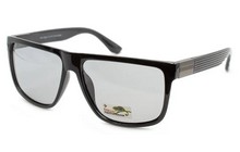 Очки Polar Eagle PE8438-C1 Photochromic Gray - фото 1