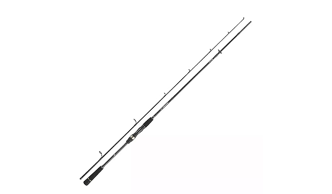 Спиннинг Daiwa Prorex S Spin 10-30 г 2,40 м - фото 1