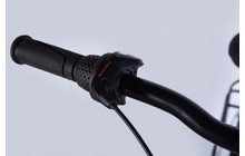 Велосипед Dorozhnik Onyx PH - дополнительное фото 12