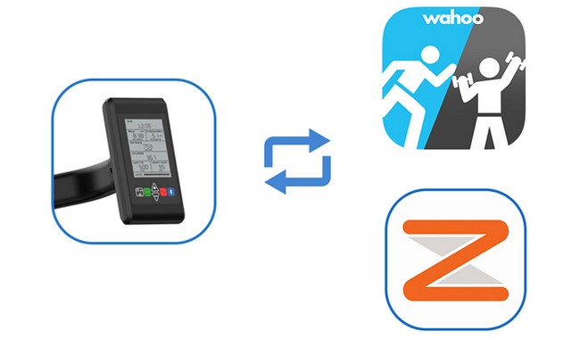 Веслувальний тренажер Impulse HSR007-WX - дополнительное фото 11