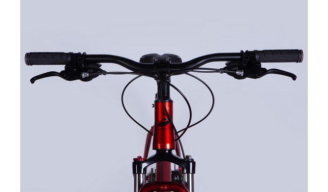 Велосипед Formula Zephyr 3.0 29" - дополнительное фото 10