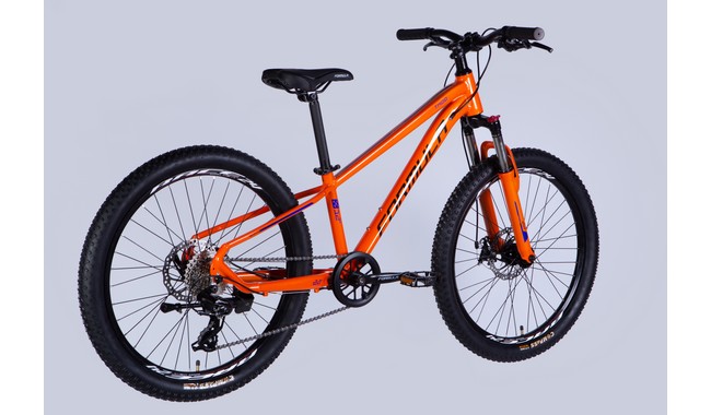 Велосипед Formula Thor CS 24" - дополнительное фото 2