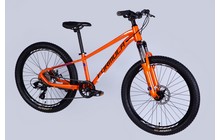 Велосипед Formula Thor CS 24" - дополнительное фото 1