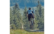 Комплект крыльев SKS Speedrocker XL - дополнительное фото 7